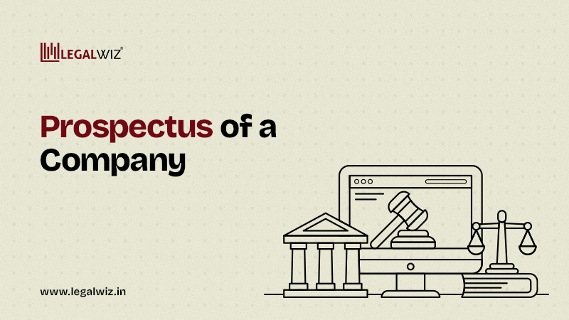 Understanding the Prospectus of a Company