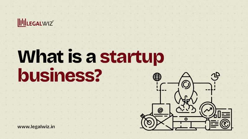 What is a Startup Business